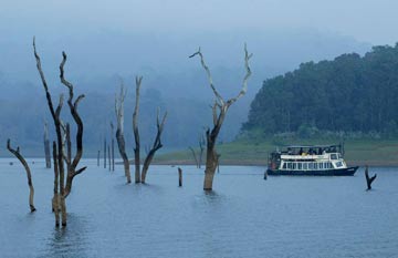 thekkady